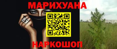 стафф Новокубанск