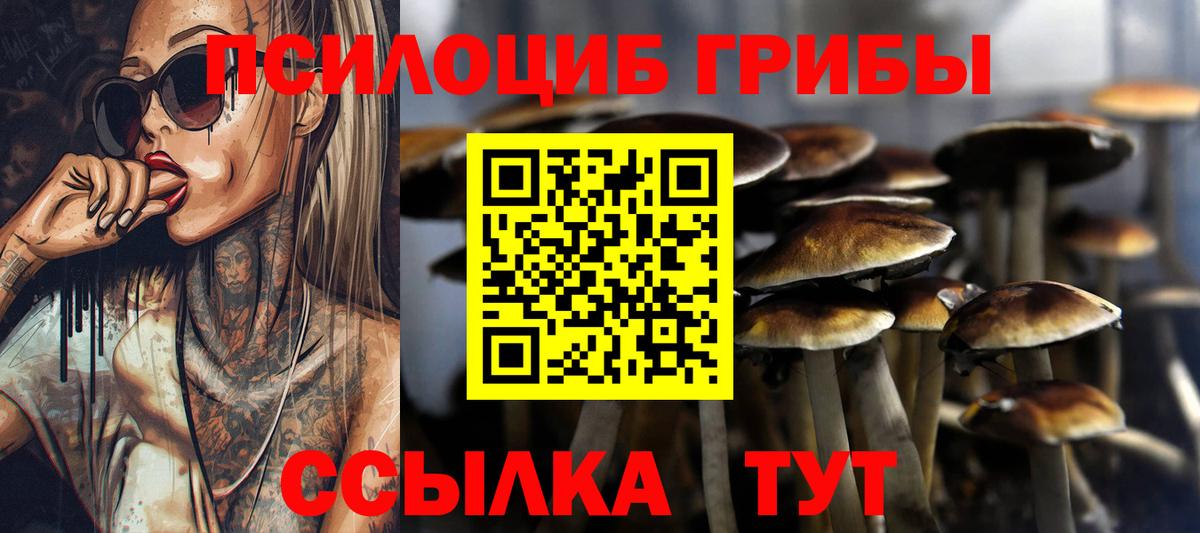 Галлюциногенные грибы ЛСД Сердобск
